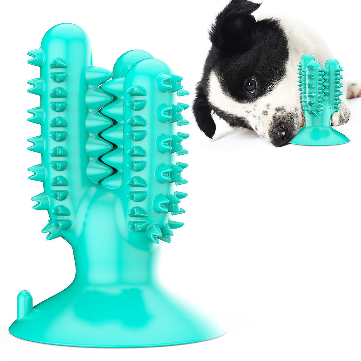 Hot Sale- Dog Teeth Cleaner