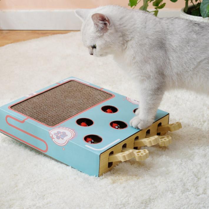 Funny cat toys with scratching board