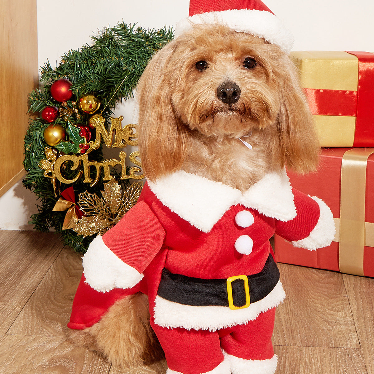 Santa Claus Pet Costume