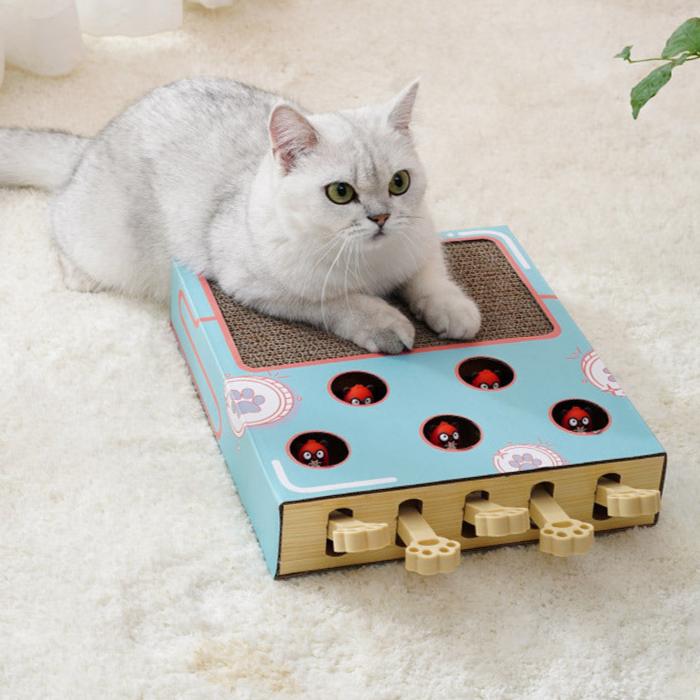 Funny cat toys with scratching board