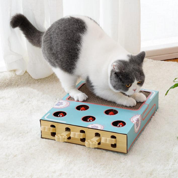 Funny cat toys with scratching board